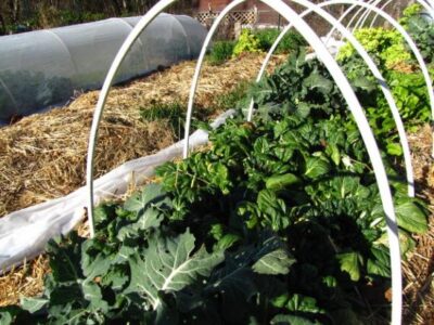 Walden Effect joins Mother Earth News Image